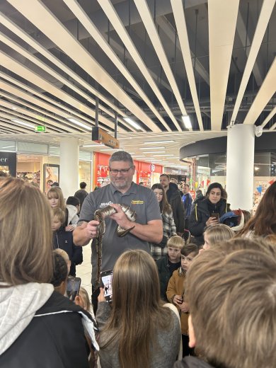 Winter break activities for Vejle’s residents of all ages